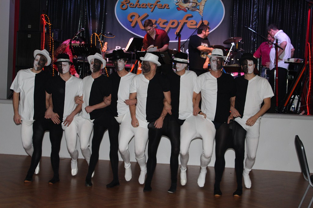 delphinball2013 t029