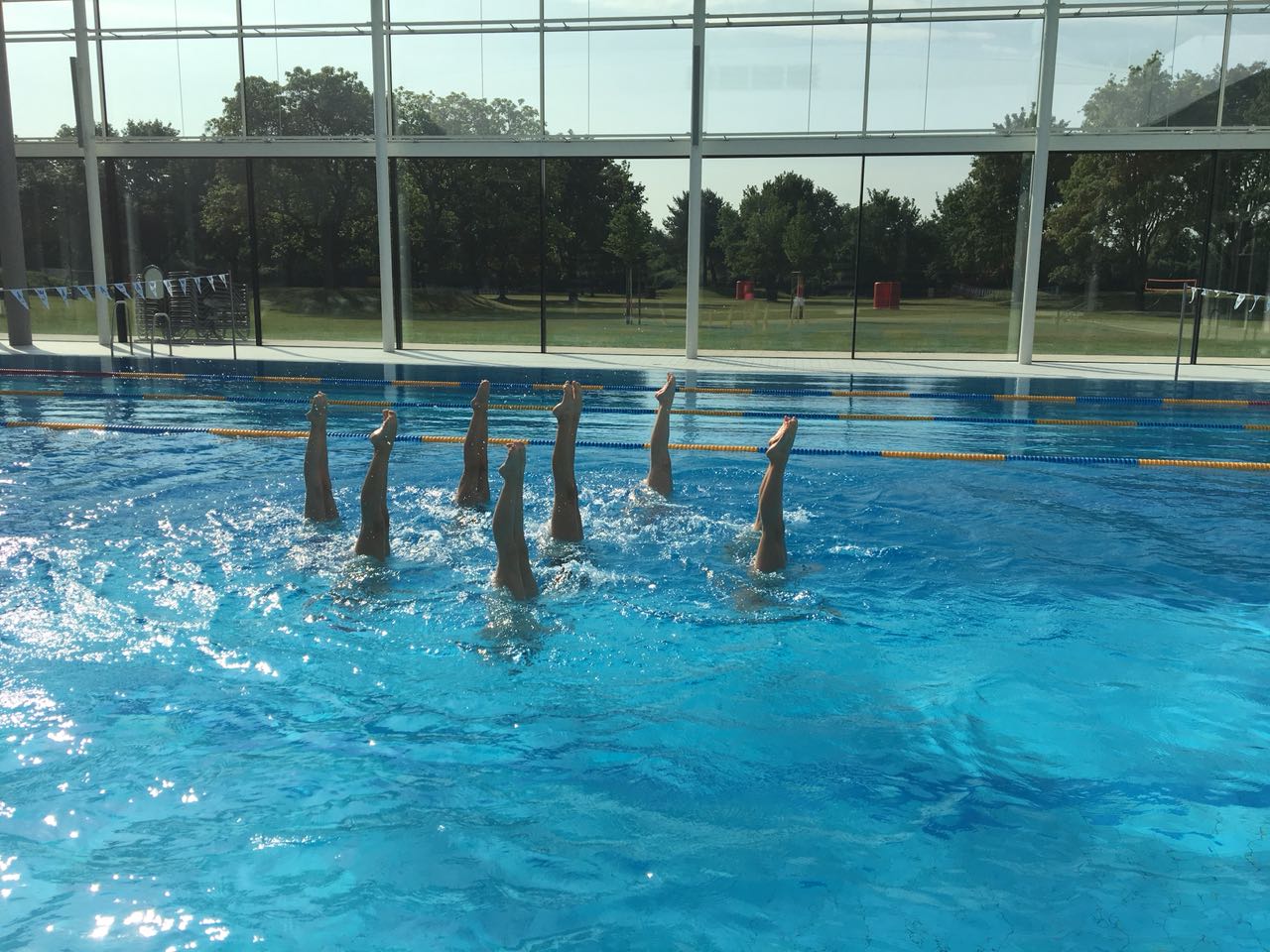 WhatsApp Image 2018 05 19 at 08.48.54