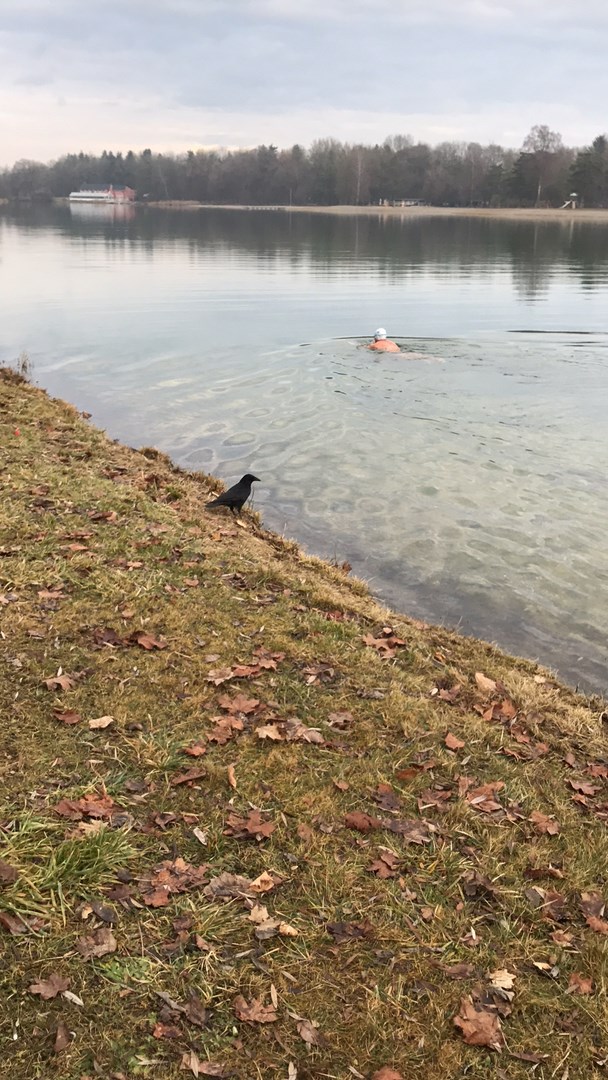 2016 12 Eisschwimmen1