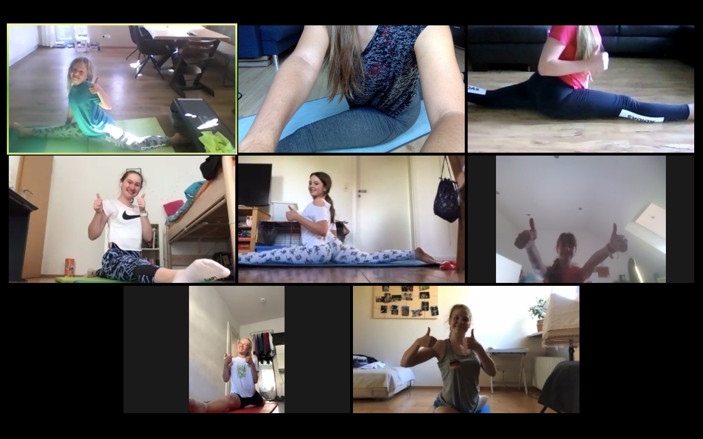 Zoom Training Synchros